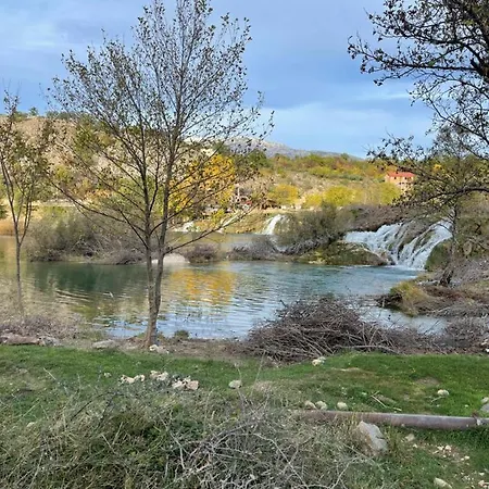 Frigan Maslenica